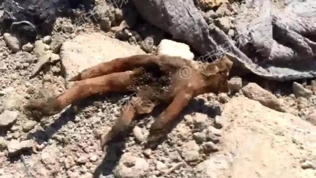 Ӱ¥��ɴ��Ӱ��ɴ�ռ۸� �����ױ�ǼұȽϺ� ������Ʒ�嵥