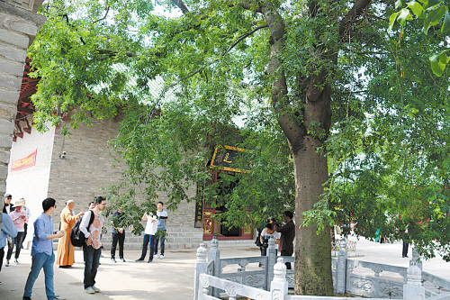 央视财经主编调研梁园文化旅游发展 探寻梁园