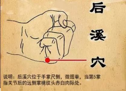"腧主体重节痛",凡是太阳小肠经循行部位的经脉经筋病症皆可选用,效果