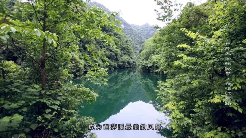 桑植民族人口_桑植四中图片