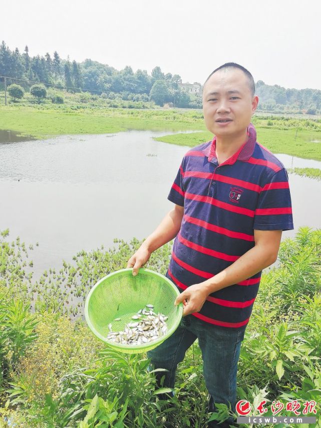 长沙望城一小伙养小杂鱼年赚50万 还帮扶其他