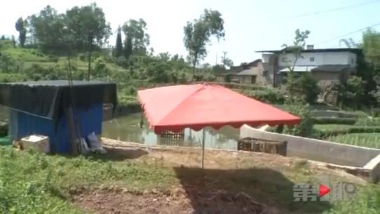 重庆发生落水事件 一人溺水身亡