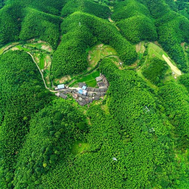 持续高温!不如来郴州宜章这个避暑圣地赏荷花