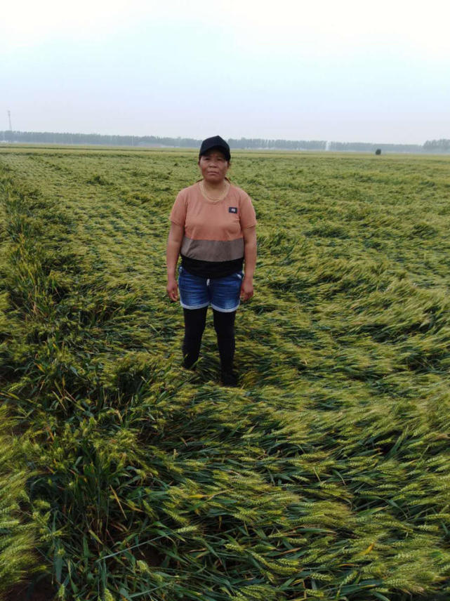 ±ʱڿյڸлˮ_Ϊʲô±_ҿɳĮ± 