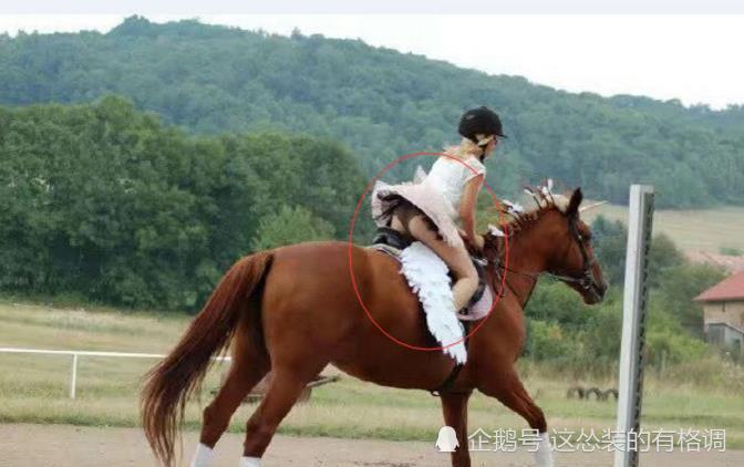 搞笑gif图:妹子穿短裙最好别骑马了,这下好了,什么都被看完了.