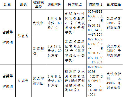 十一届湖北省委第二轮巡视全面展开 已进驻24