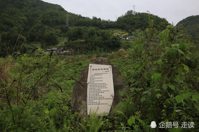 重走青川东河口地震受灾最严重的村