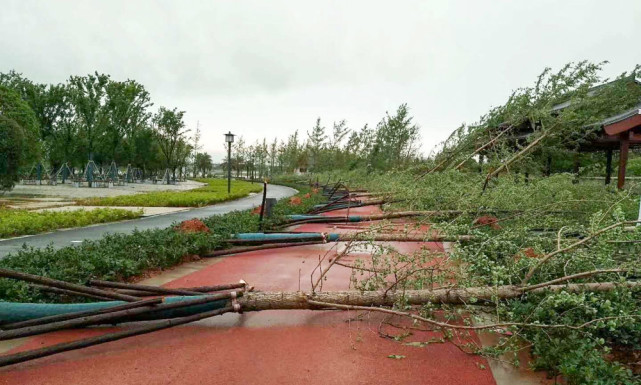 18日岳阳汨罗狂风暴雨掀翻屋顶吹倒大树 部分