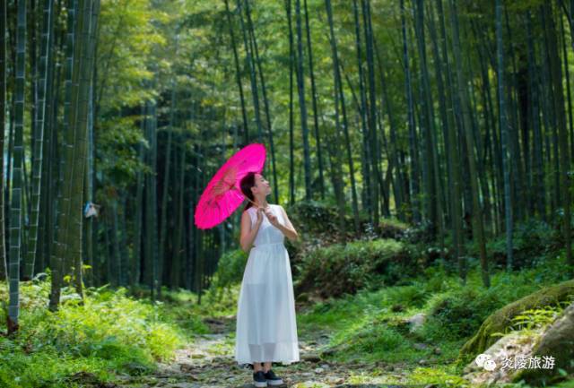 去哪里拍抖音能火!夏一站我在株洲神农谷等你