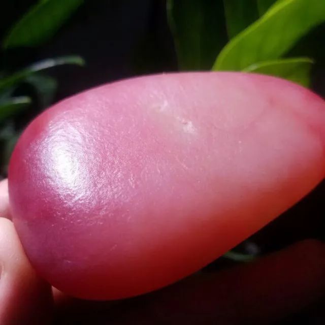 的特色沁皮料,宝主称它为"红萝卜,可我觉得它更新古代美人用的胭脂