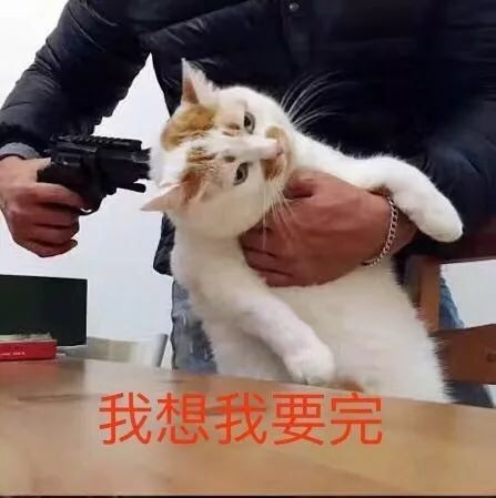 猫咪表情包:我的刀呢?