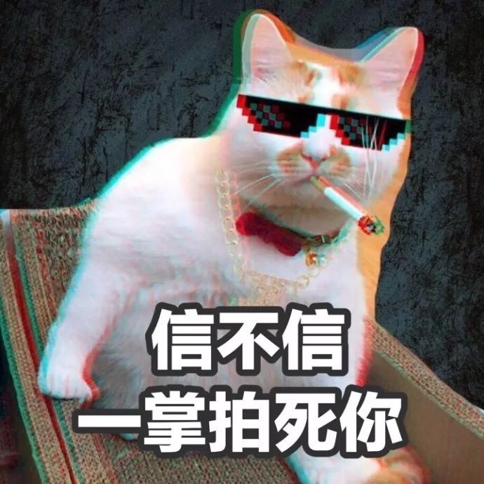 猫咪表情包:我的刀呢?