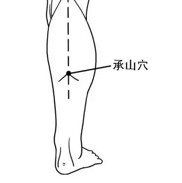 位置:微微施力垫起脚尖,小腿后侧肌肉浮起的尾端即为承山穴.