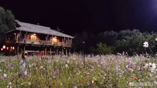 鬼吹灯粉丝都哭了,《云南虫谷》怎么可以烂成