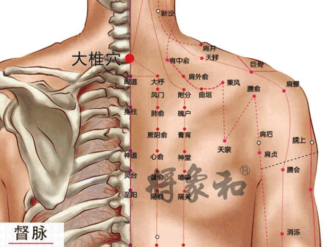 腰在手上的反射区在手背正中间,可先涂少许刮痧油,再沿手腕到中指