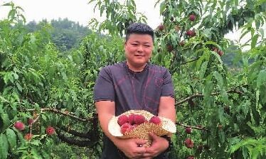 长沙进入时鲜水果采摘季 长沙摘桃全攻略在此