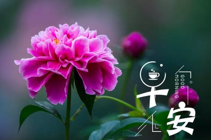 2022最新周末早上好问候语温馨早上好的句子周末简短一句话