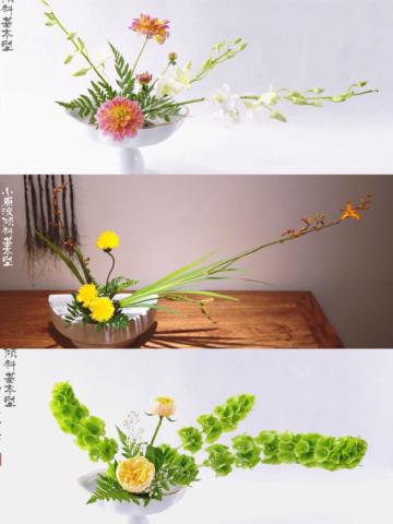 小茶的花道课笔记之六:小原流花道——花意匠倾斜式基本型下