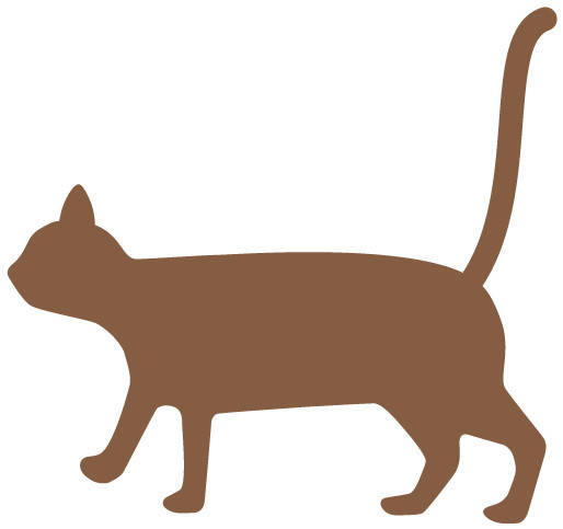 皮肤发痒、长红疹,源头可能是家里的TA…