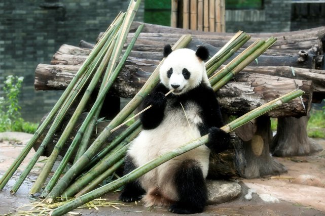贴身旅游管家,带你邂逅古堰主题采风活动顺利