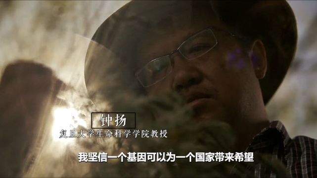 Ӱ¥��ɴ��Ӱ��ɴ�ռ۸� �����ױ�ǼұȽϺ� ������Ʒ�嵥