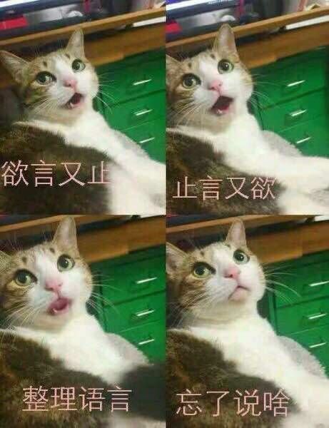 猫猫系列·表情包:能不能像我一样稳重点儿
