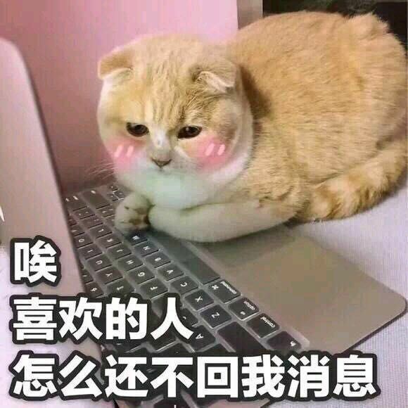 猫猫系列·表情包:能不能像我一样稳重点儿