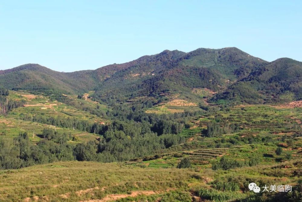 石家河风景美