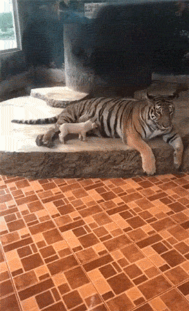 两个哥们猜成语_两个好哥们照片(2)