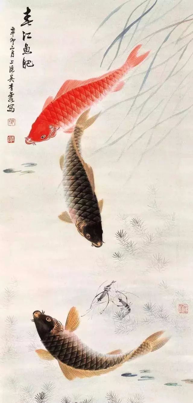 吴昌硕,齐白石,张大千,潘天寿等大家画的鱼