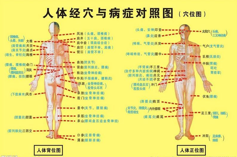 记住4个穴位,轻松疏通全身经络!