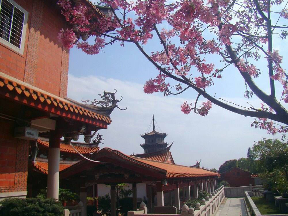 福州的经济总量远远超过厦门_福州政治经济(2)