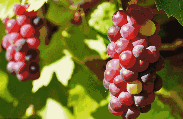 GDP 深藏功和名的_美国和中国gdp