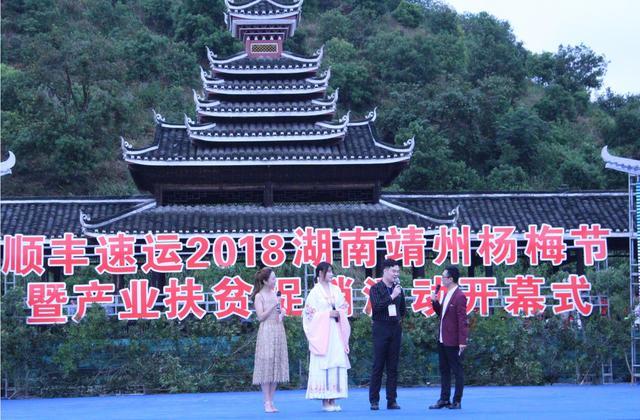 2018怀化靖州杨梅节暨产业扶贫促销活动开幕