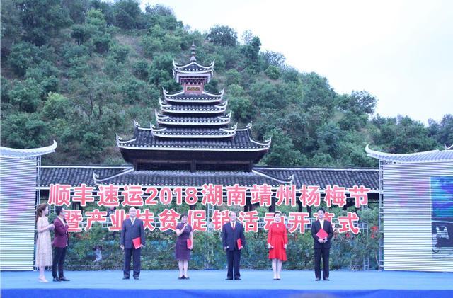2018怀化靖州杨梅节暨产业扶贫促销活动开幕