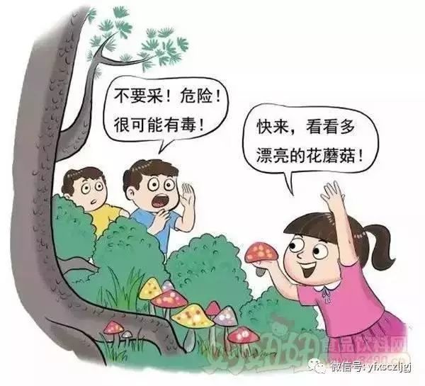 食品安全知识科普珍爱生命拒绝毒蘑菇