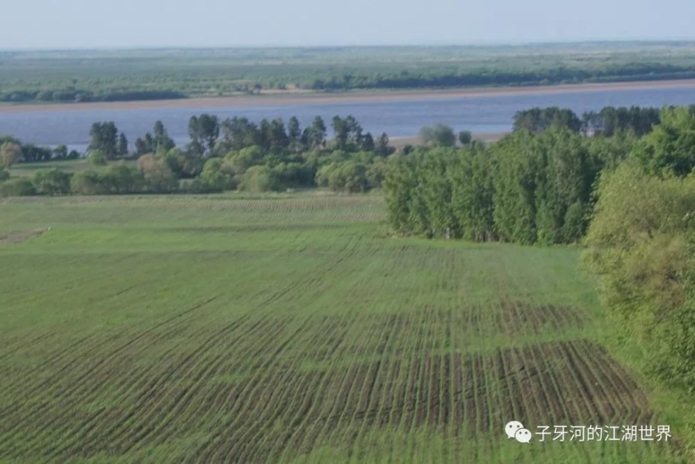 东北边境骑行日志嘉荫农场逊克农场四分场43