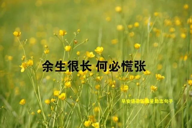 青年节发朋友圈最哲理的精辟句子