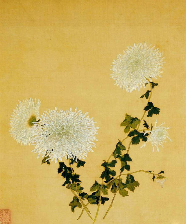 国画教程王延格菊谱画菊必备