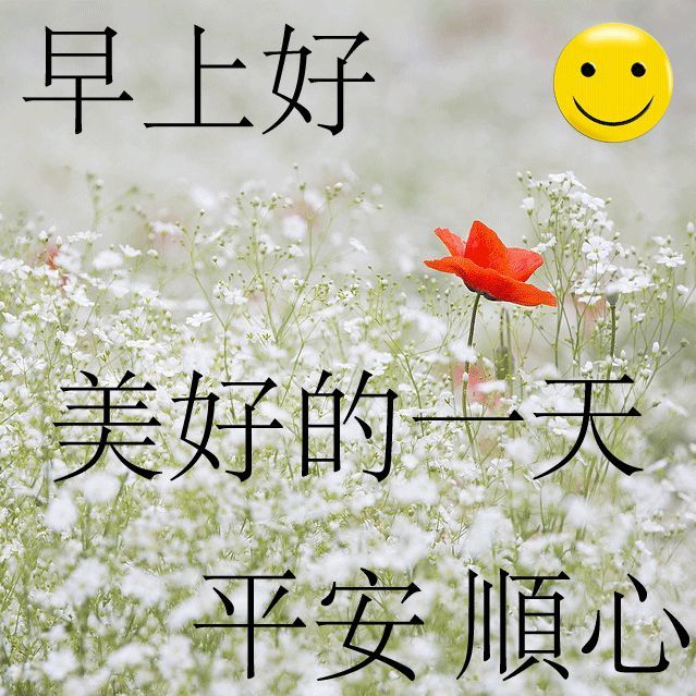 10月18日清晨早上好问候祝福动态表情图片最美早晨好问候动态表情鲜花