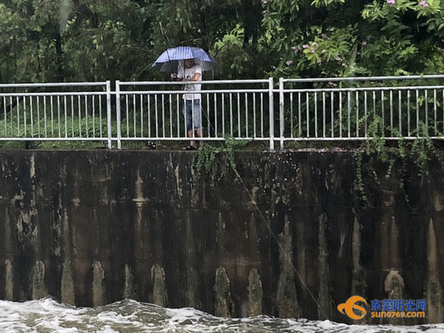 黃江水庫泄洪生物亂入 有人暴風雨中撐傘為此等候