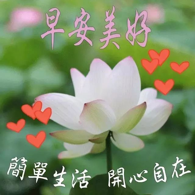 1, 每一天活着都是快乐的,让每个人靠近你很舒服,那就是新的能量,那就
