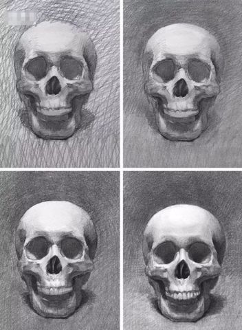 素描干货 从静物到头像 头骨需要重点掌握