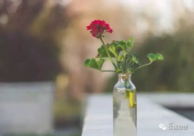 做人,我不玩心计