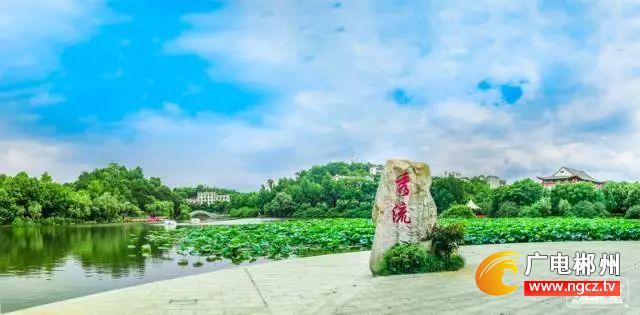 避暑好去处!郴州赏荷全攻略 好看又免费