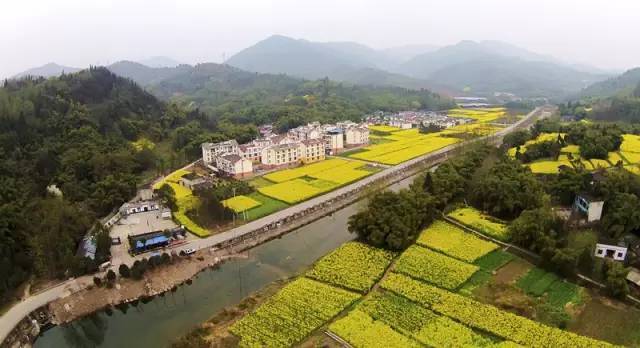 高峰村人口_兴业县高峰镇永德村