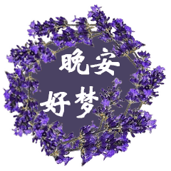 最新晚上好问候图片鲜花动态表情晚安语心情说说