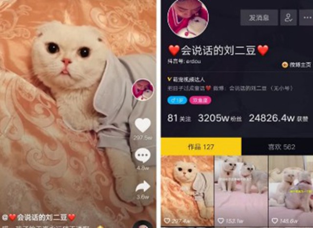 搞笑真人口型模仿视频_名画人物模仿(2)