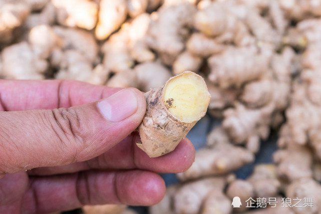 农村老汉不种大蒜种它 大集上卖5元一斤收入