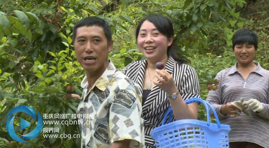 端午重庆周边采摘攻略!这些地方的水果正当熟